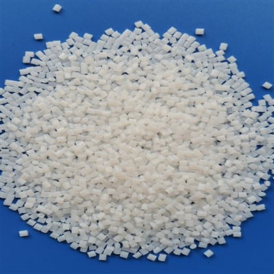 Bagaimana kita bisa mengurangi konsumsi partikel plastik PET oleh hewan?